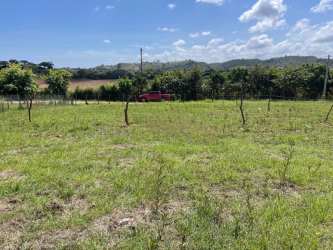 Rural investment land 460m2 with partial fence and grassy terrain in Guararé Panama