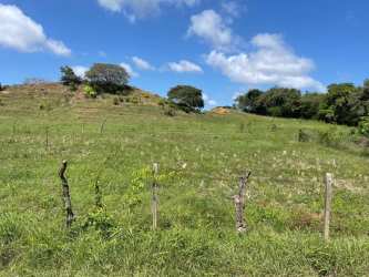 Fenced rural land with pasture and dirt road near Guararé Los Santos Panama for sale