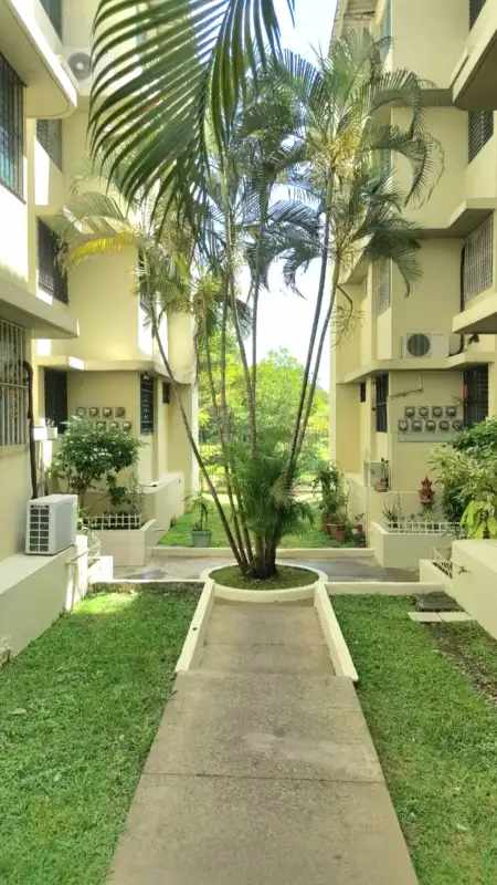 Exterior view paved paths, gardens, palm trees of apartment near Parque Omar