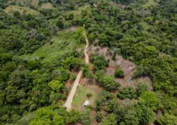 59 Hectare Rural Countryside Land for Sale in Colón El Limón