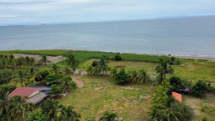 Tropical beachfront with lush greenery and ocean views in Playa La Colorada Panama