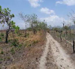 Land for Sale in El Coco - 0 bedrooms