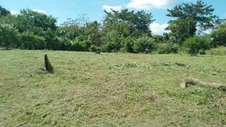 Land / Lot for Sale in San Carlos - 0 bedrooms