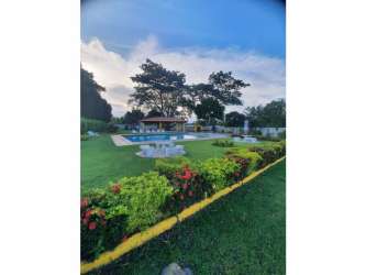 Lush residential development with trees, grass, and internal road in Villas del Llano near beaches in Panama.