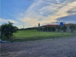 Land Lot for Sale in Chame - 0 bedrooms