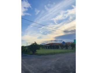 Large flat residential land with trees and paved road access in Villas del Llano Las Lajas Panama.