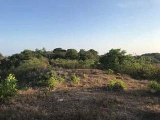 Land for Sale in El Espino - 0 bedrooms