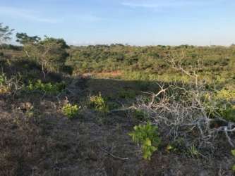 4.4ha Titled Riverfront Land San Carlos Panama for Sale in - View 2