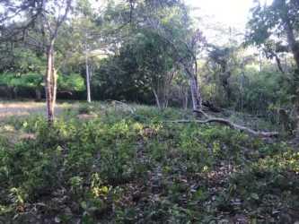 4.4ha Titled Riverfront Land San Carlos Panama for Sale in - View 5