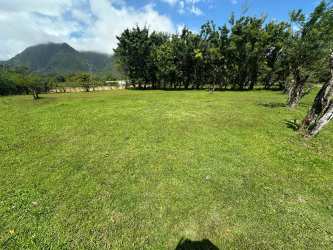 Green open land with mountain and tree backgrounds in El Valle de Antón Panama