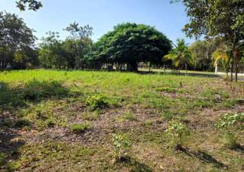 Grassy land with trees in secure beachfront Costa Esmeralda community Panama