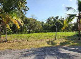 Land for Sale in San Carlos - 0 bedrooms