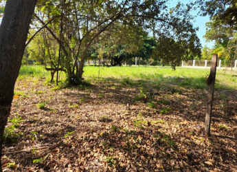Tropical lot with trees and open spaces Costa Esmeralda near Pacific Ocean Panama