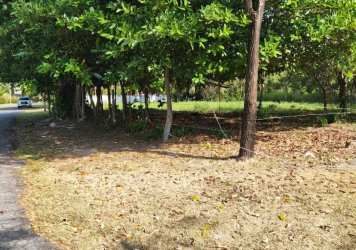 Beachside land with palm trees inside Costa Esmeralda residential development Panama