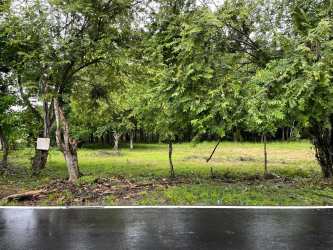 Fertile land with forest trees power and water access rural Coclé near beaches Panama