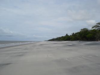 Sandy unspoiled beach with calm waves and treeline near rural investment property Coclé Panama