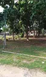 Natural flat residential land with trees and dirt road access near the beach in Pedasi Panama