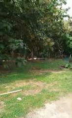 Land for Sale in Pedasí - 0 bedrooms