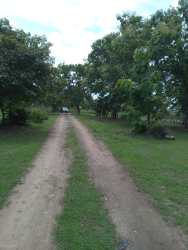 Large open green lot with dirt access road and mature foliage near Playa El Arenal Pedasí