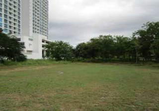 Land for Sale in Playa Gorgona - 0 bedrooms