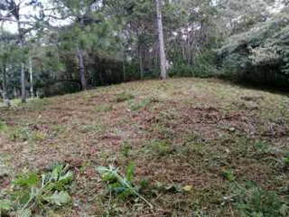 Land for Sale in Sora - 0 bedrooms