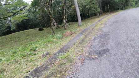 Corner lot adjacent to paved road with roadside drainage surrounded by greenery in Altos de María Santiago Apostol Panama