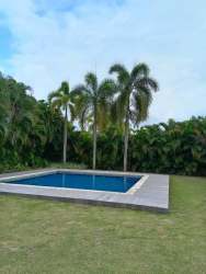 Private swimming pool surrounded by palms at Bijao Villa de Miraflores Panamanian beachfront villa