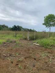 Land Lot for Sale in Tonosí - 0 bedrooms