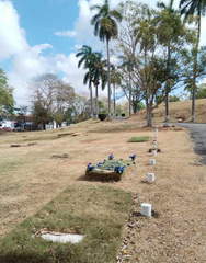 Burial Plot for Sale in Parque Lefevre - 0 bedrooms