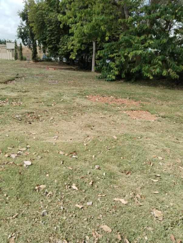 Dense mature trees with shaded open grassy burial plots at Jardín de Paz Cemetery Panama