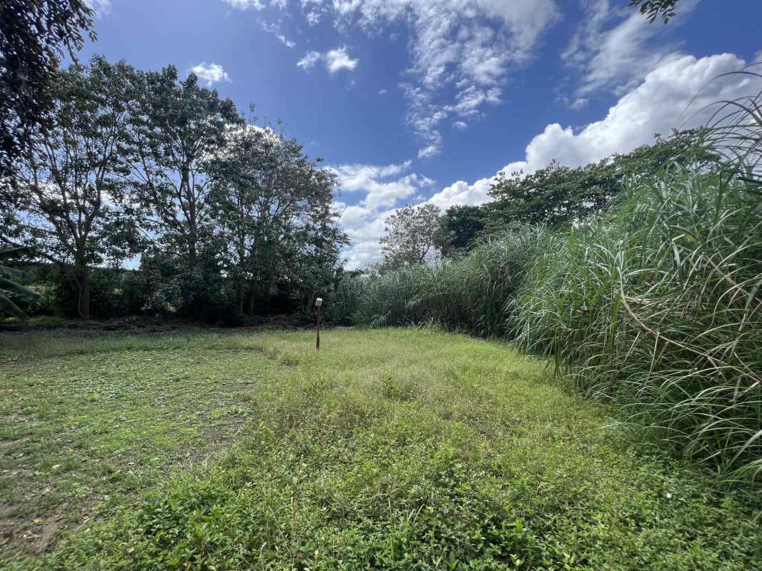 Flat open grassy residential development lot under blue sky in Ciudad Radial Panama