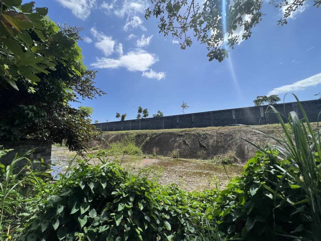 Concrete canal alongside tropical vegetation and fencing on development land Panama City