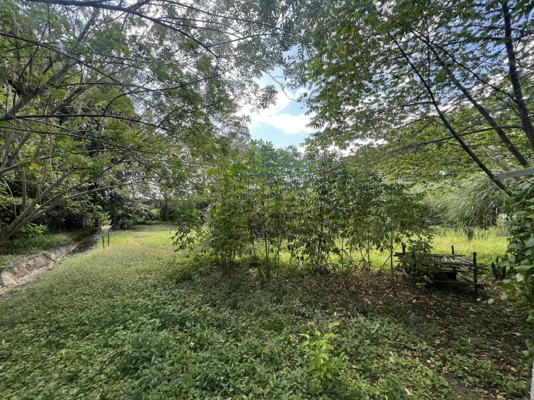 Irrigation canal crossing green tropical landscape on vacant residential land Panama City