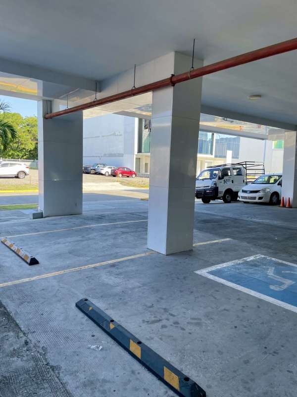 Glass facade commercial building with palm tree and parking Panama Viejo Business Center