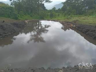 Pond surrounded by natural embankment and forest trees reflecting at Las Terrazas Boquete lot for sale