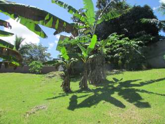 Affordable small concrete house in Omar Torrijos community Vista Alegre Panama