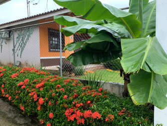 Backyard garden area with landscaping Platinium Park residential Panama