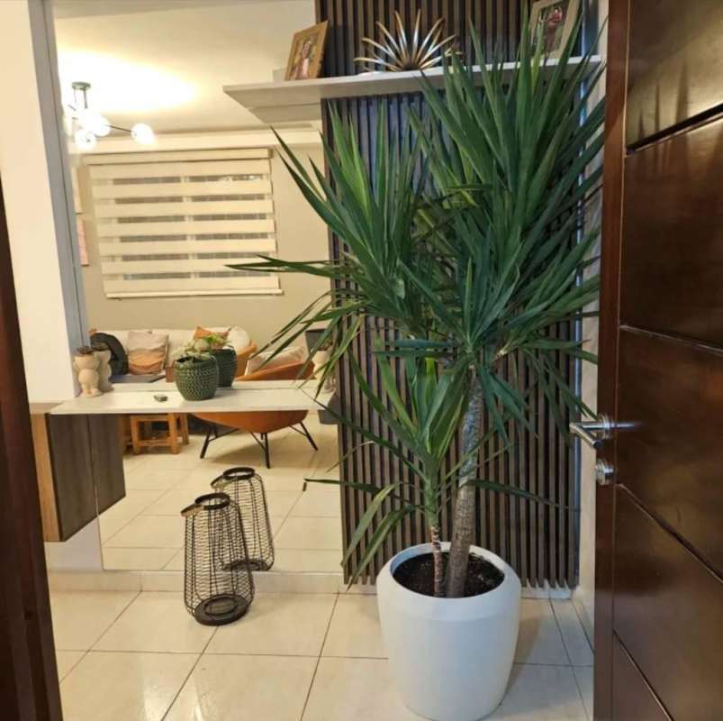 Modern entryway featuring potted plant, wood divider and tile floors in Villa Lucre Panama