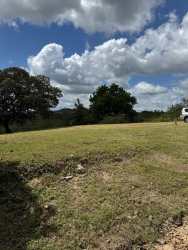 Vacant open grassy farmland with shade trees and dirt road access near Coronado Panama