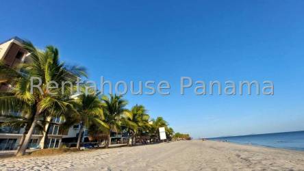 Sandy beach with palm trees and ocean view in Nueva Gorgona Punta Chame Panama
