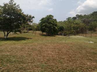 Backyard with tree shade and open grassy area house for sale Chame Panama