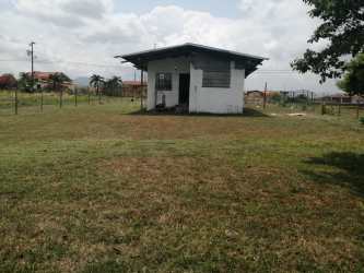 Fenced large yard with grass and rural house for sale in Nueva Gorgona Panama