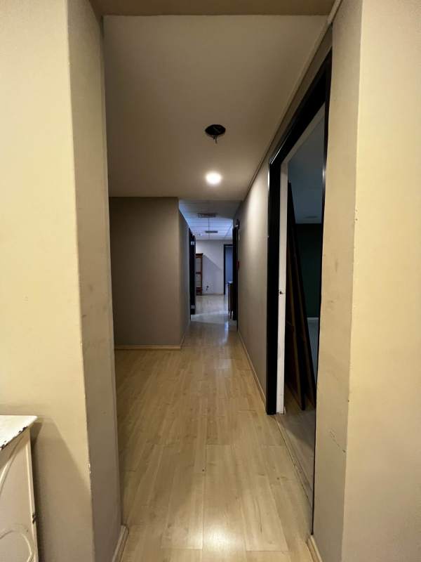 Empty modern office space with laminated wood floor and accent wall, PH VIP Tower Calle 50