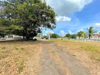 Vacant beachfront land with large trees and ocean backdrop in Coronado Panama
