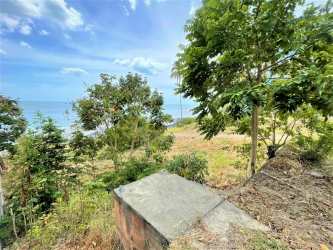 Oceanfront lot with palm trees and sandy access for sale in Coronado Panama prime location