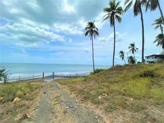 Tropical beachfront property with palm trees and ocean view for high-rise development in Coronado Panama