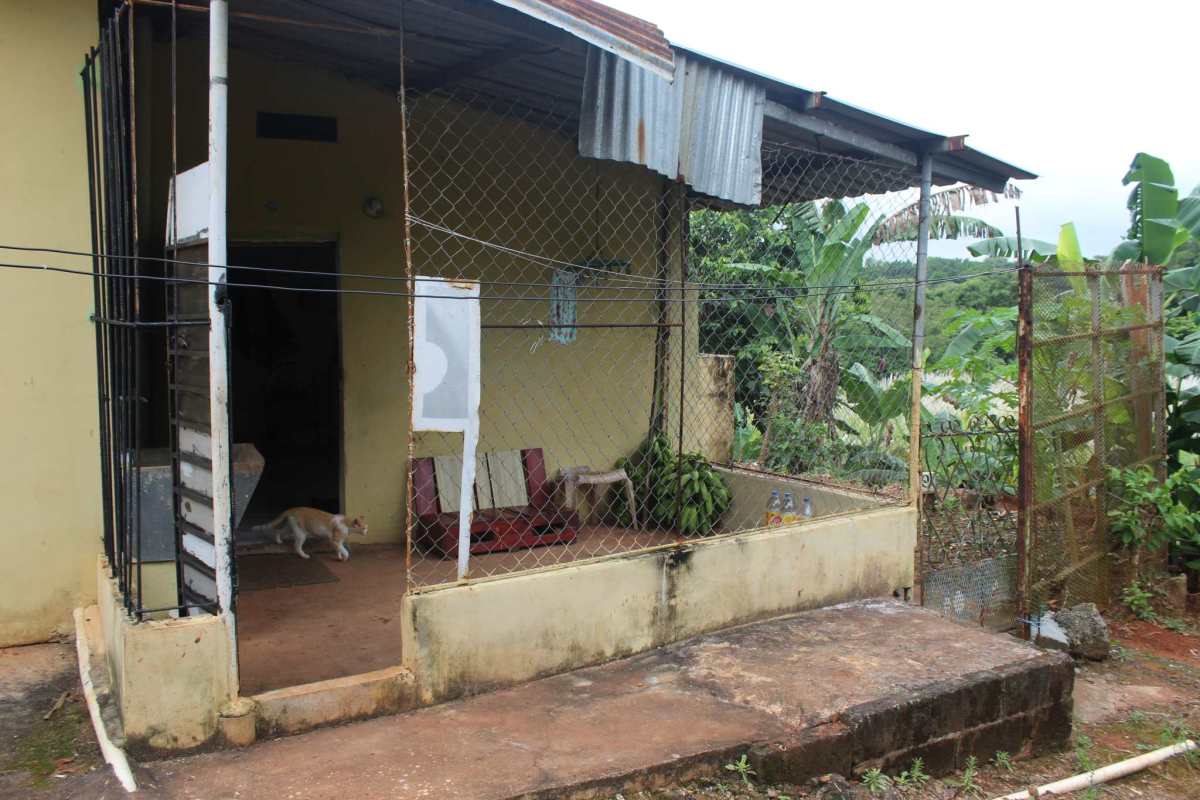 Covered porch chain link fencing garden Pedregalito Tocumen Panama