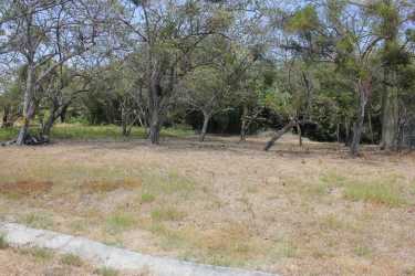 Large flat vacant lot with mature trees in Valle de Toscana gated community El Retiro Antón Panama