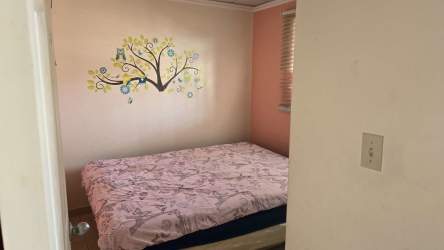 Bedroom with colorful mural tree floral design at Las Magnolias Costa Verde Panama 