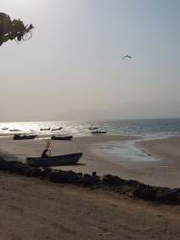 Land for Sale in Chame - 0 bedrooms